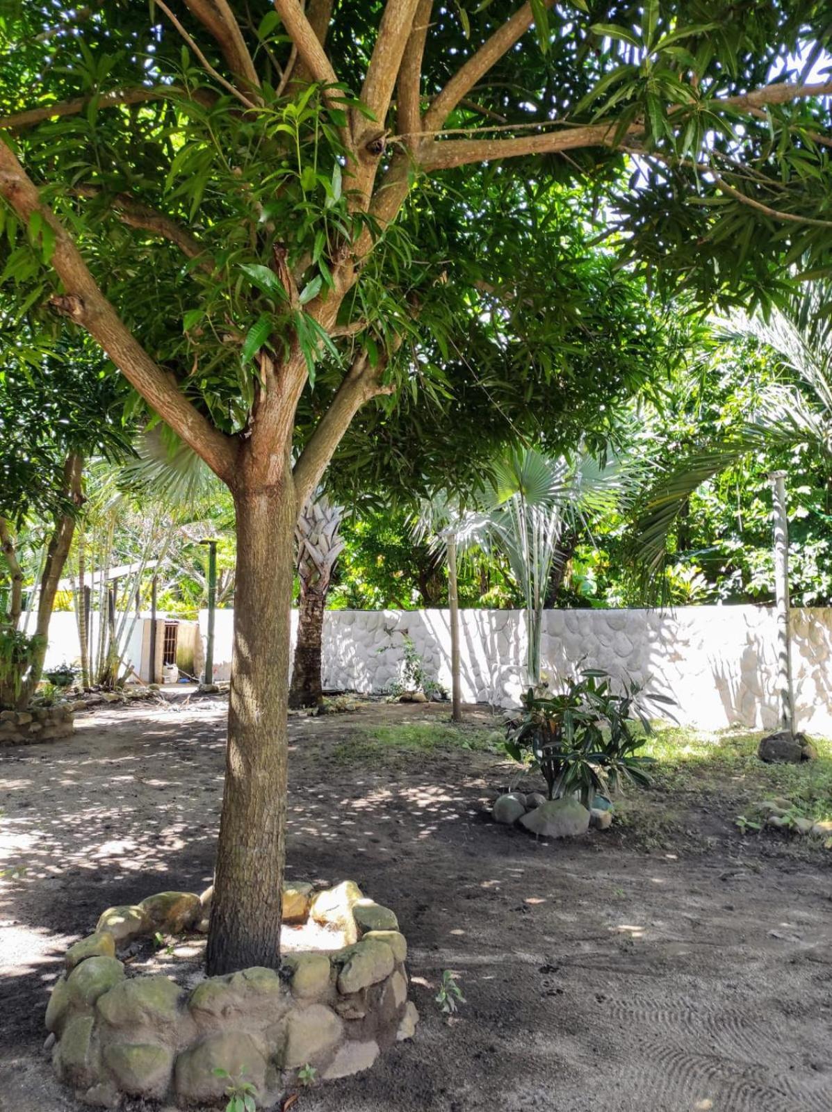 Hostal Luz De Luna Palomino Exterior photo